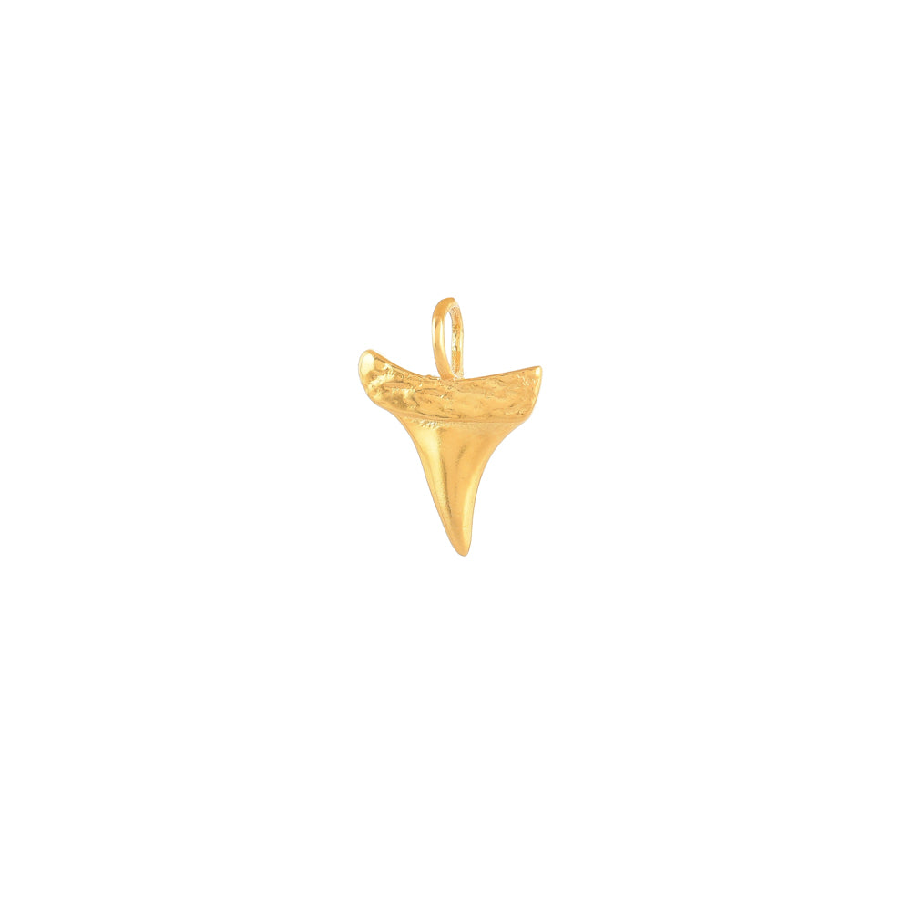 Gouden Haaientand Bedel