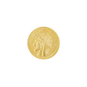 Gouden Munt Broche