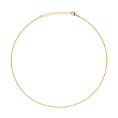 Basic Gouden Ketting Gourmet