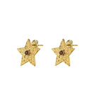 Gouden ster studs oorbellen