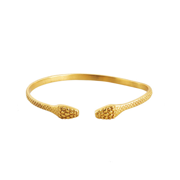 Gouden Bangle Slang