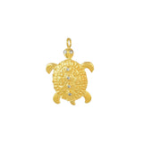 Gouden Bedel Schildpad