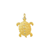 Gouden Bedel Schildpad