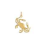 Gouden Krab Bedel Groot