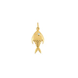 Gouden Vis Bedel Parel