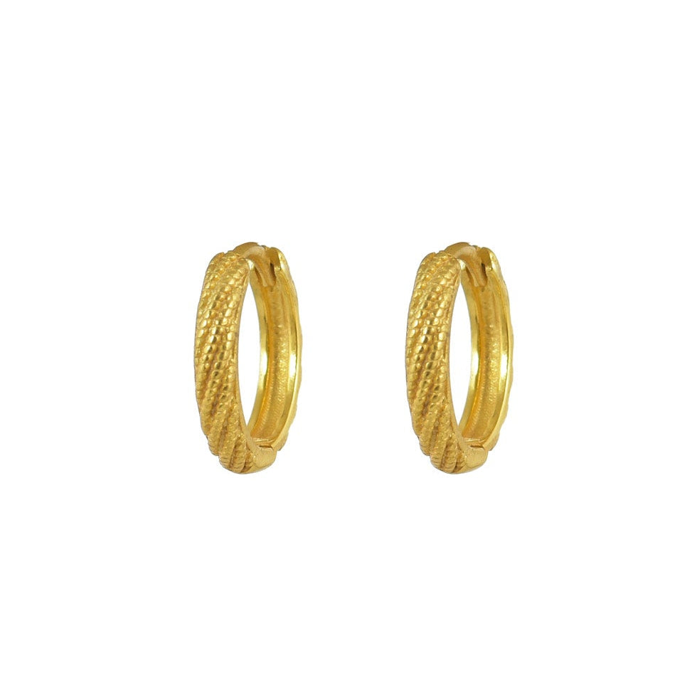 Small Gold Hoop Earrings