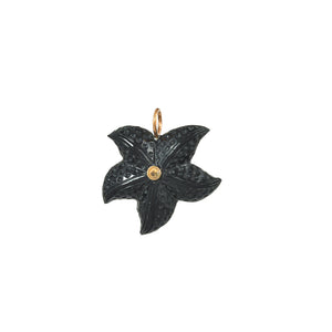 Zwarte onyx zeester bedel
