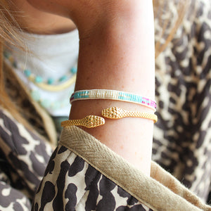 Gouden Bangle Slang