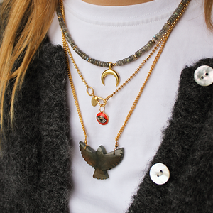 labradoriet vogel ketting