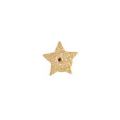 Sterren Broche