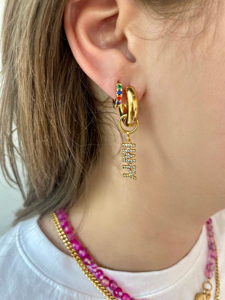 Multi Colorful Hoop Earrings